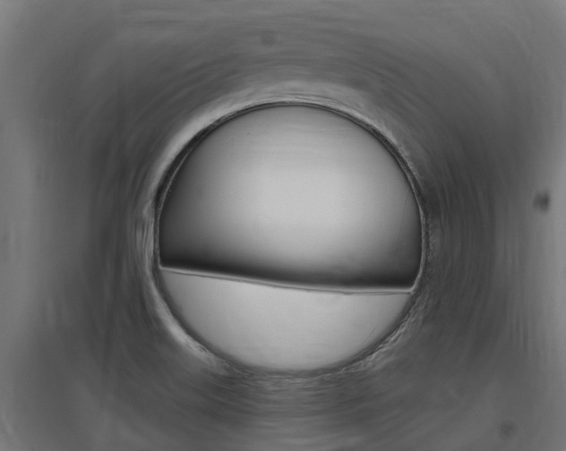 X0000097631515200802290831