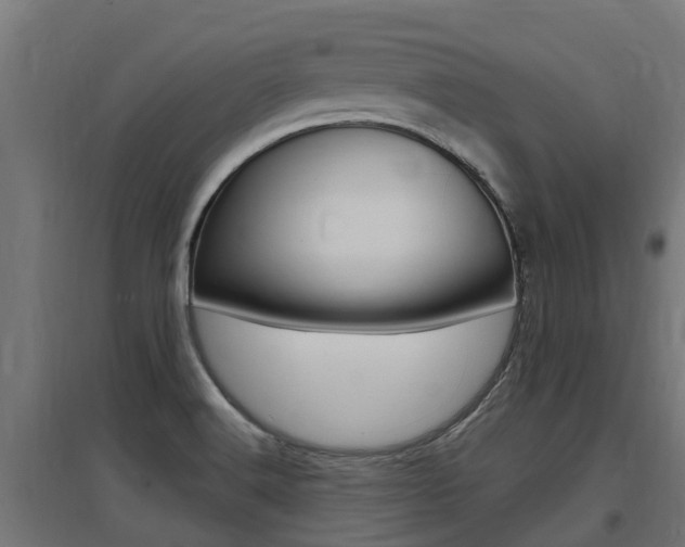 X0000097631516200802290831