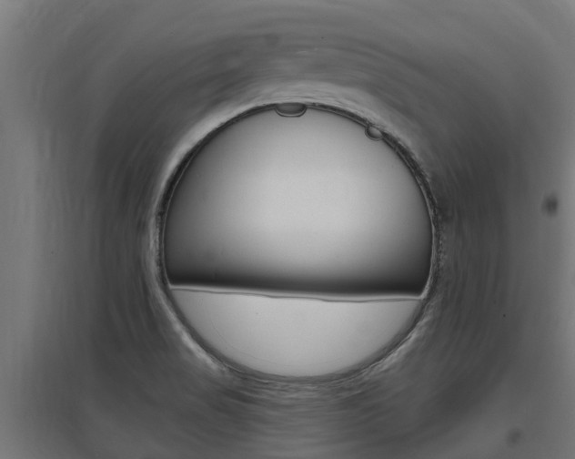 X0000097631517200802290831