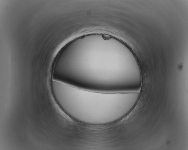 X0000097631518200802290831