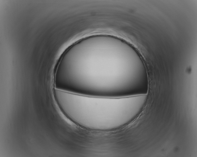 X0000097631519200802290831
