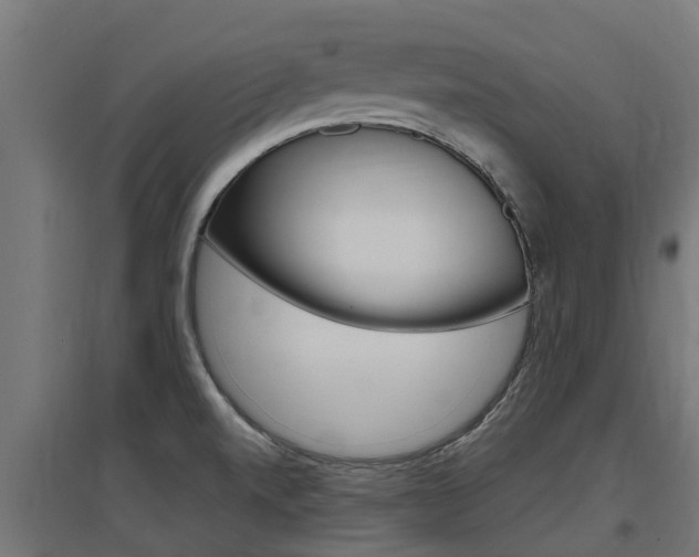 X0000097631520200802290831