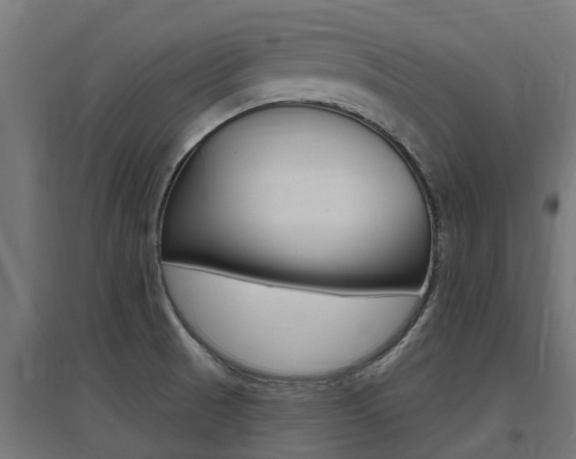 X0000097631521200802290831
