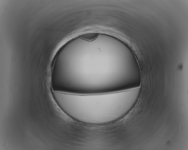 X0000097631522200802290831