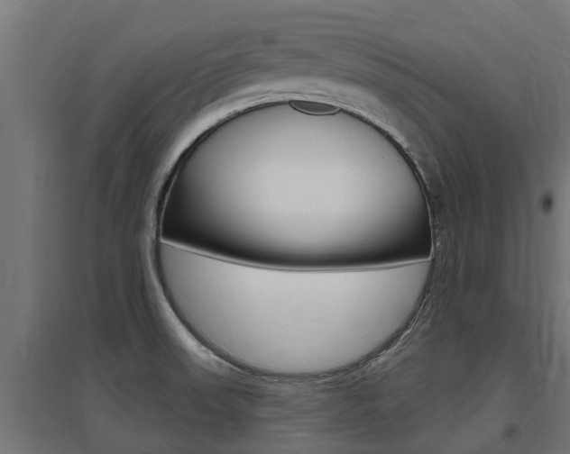 X0000097631523200802290831