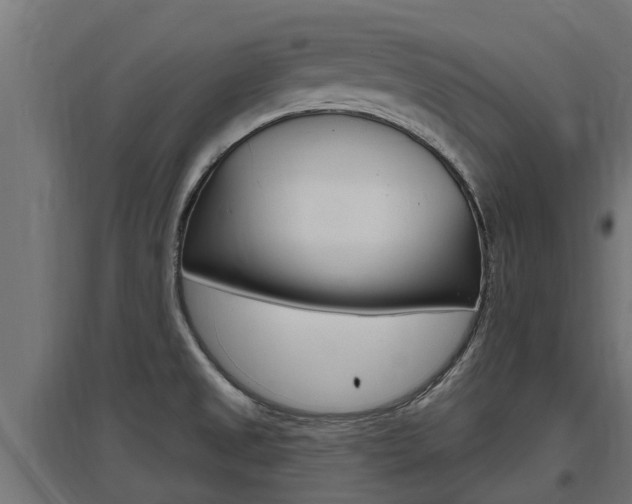 X0000097631525200802290831