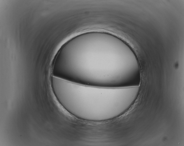 X0000097631526200802290832