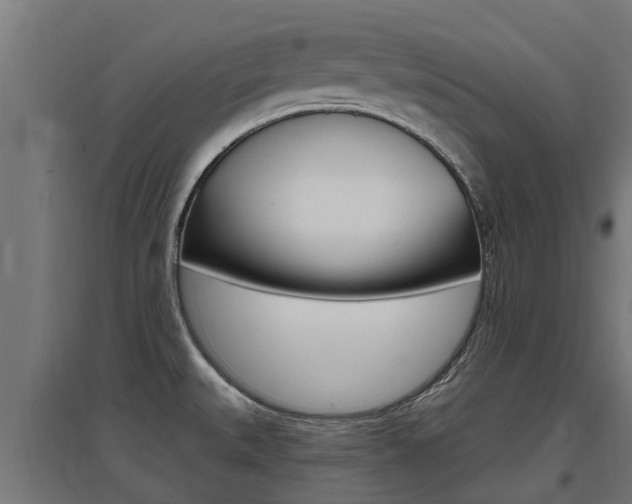 X0000097631527200802290832