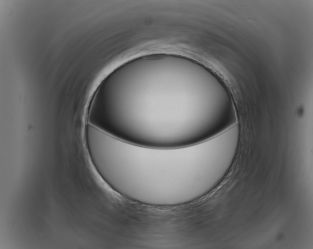 X0000097631528200802290832