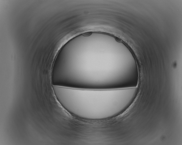 X0000097631529200802290832