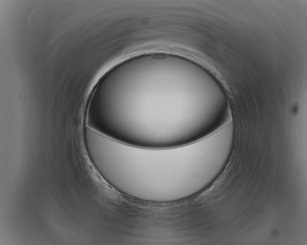 X0000097631530200802290832