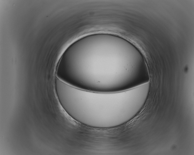 X0000097631532200802290832