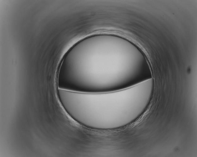 X0000097631533200802290832