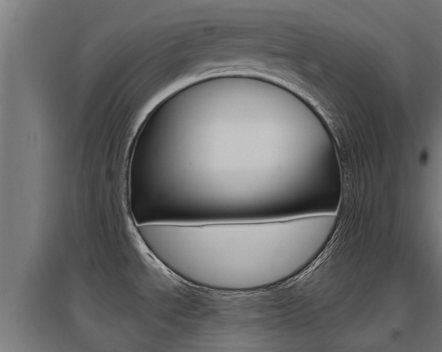 X0000097631534200802290832