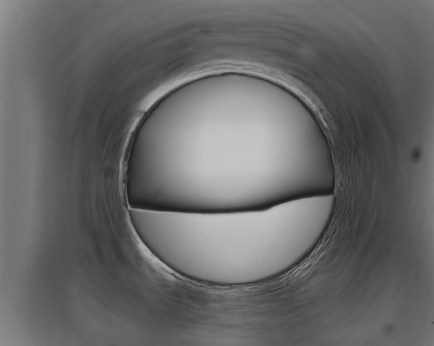 X0000097631535200802290832