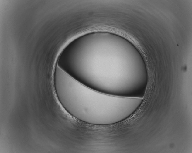 X0000097631536200802290832