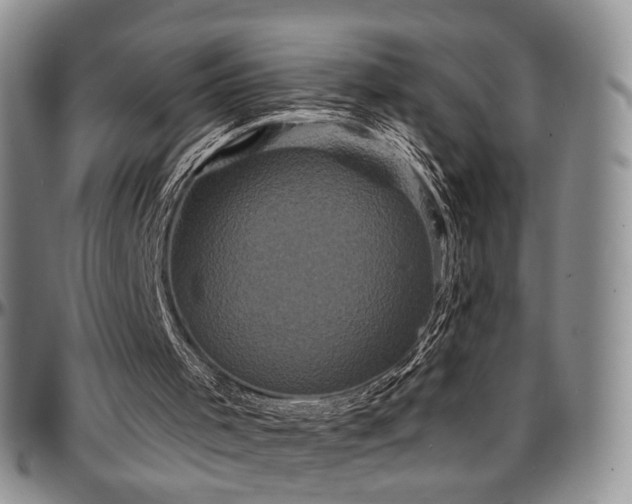 X0000097630001200802291351