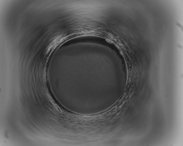 X0000097630002200802291351