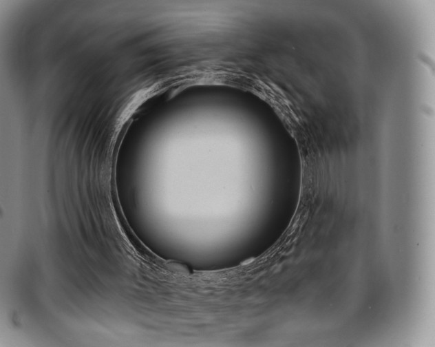 X0000097630003200802291351