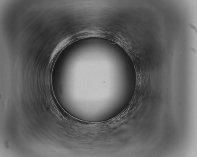 X0000097630004200802291351