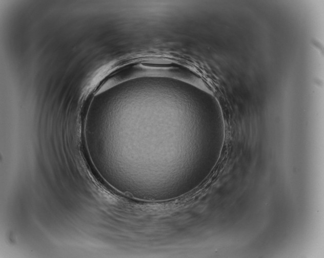 X0000097630005200802291351