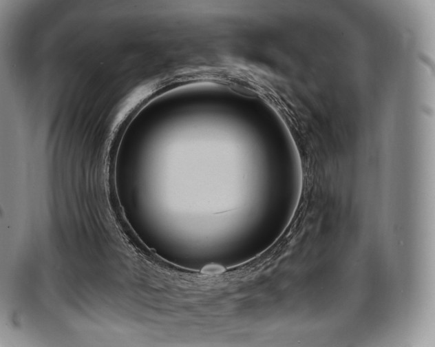 X0000097630006200802291351