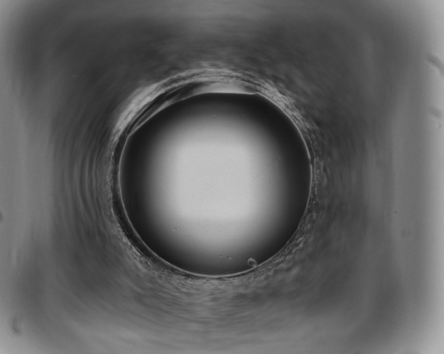 X0000097630007200802291351