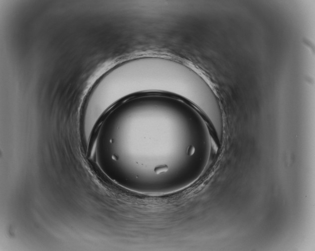 X0000097630008200802291351