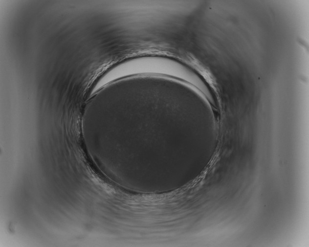 X0000097630009200802291351