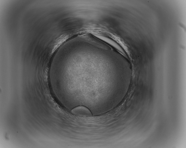 X0000097630010200802291351