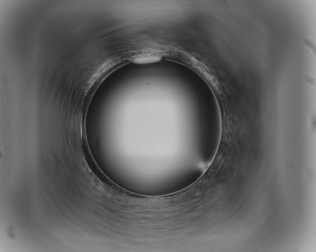 X0000097630011200802291351