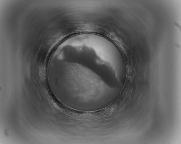 X0000097630012200802291351