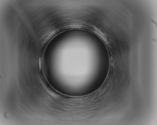 X0000097630013200802291351