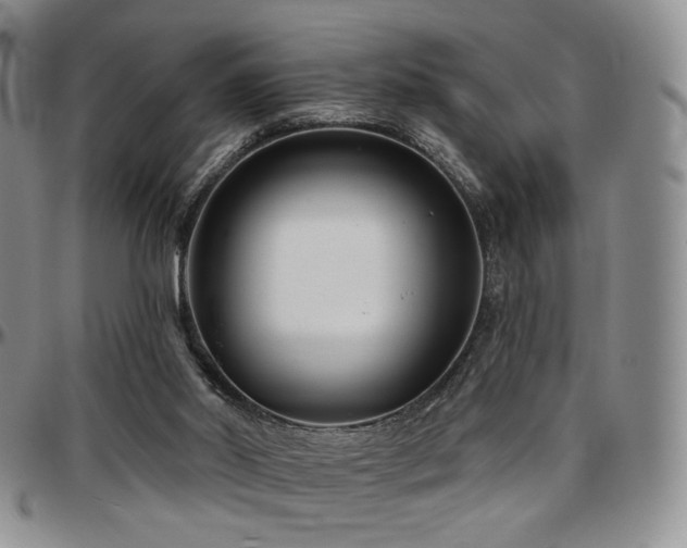 X0000097630014200802291351