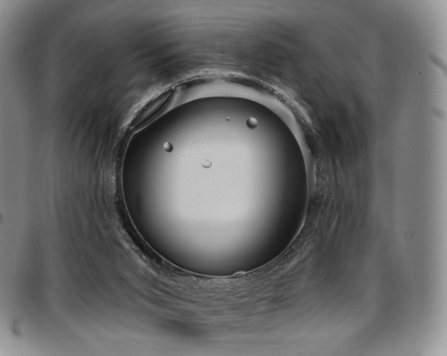 X0000097630015200802291351