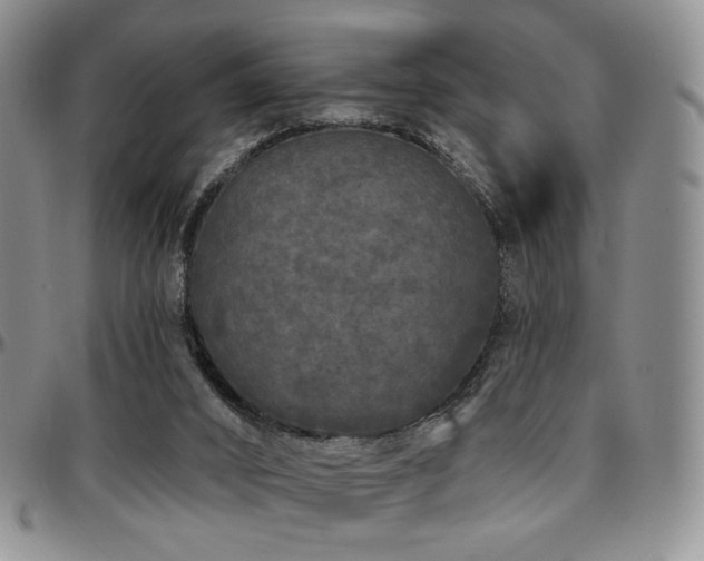 X0000097630016200802291351