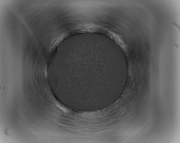 X0000097630017200802291351