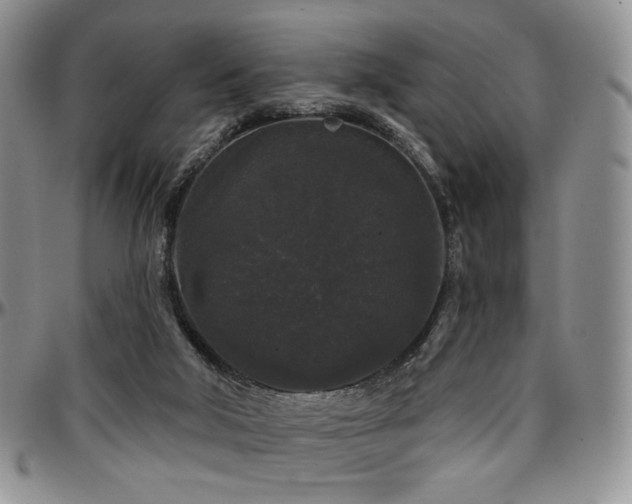 X0000097630018200802291351