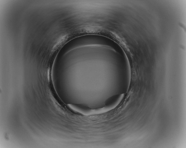 X0000097630019200802291351