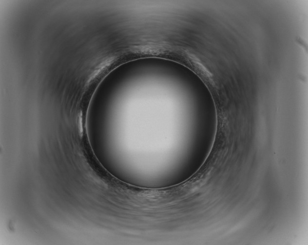 X0000097630020200802291351