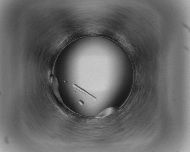 X0000097630021200802291351