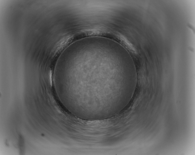 X0000097630022200802291351