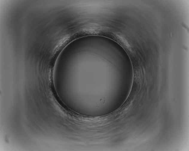 X0000097630023200802291351