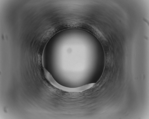 X0000097630025200802291351