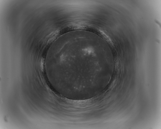 X0000097630026200802291351