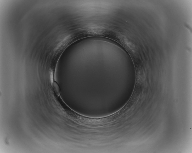 X0000097630027200802291351