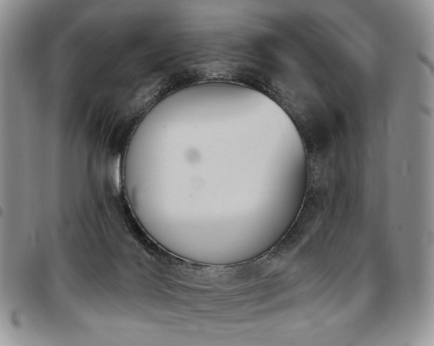 X0000097630028200802291351