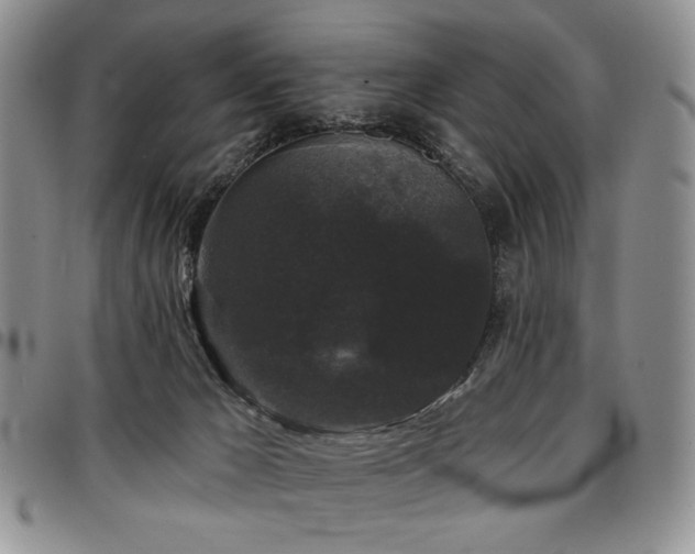 X0000097630029200802291351