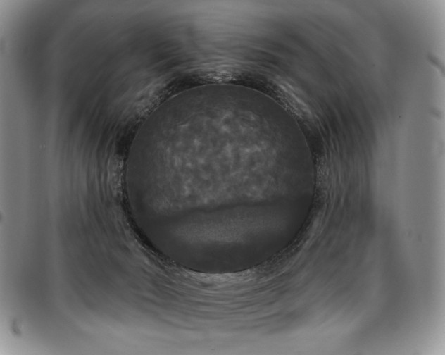 X0000097630030200802291351