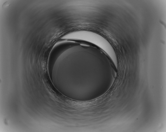 X0000097630031200802291351